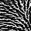 Grouper - Cover The Windows And The Walls
